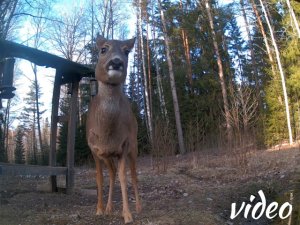 The snow has melted!