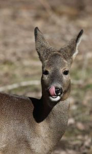Tastes good!