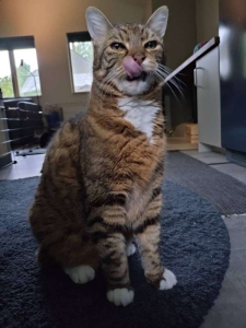 Wanneer gaan we eten?
