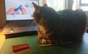 Mika en de origamikat