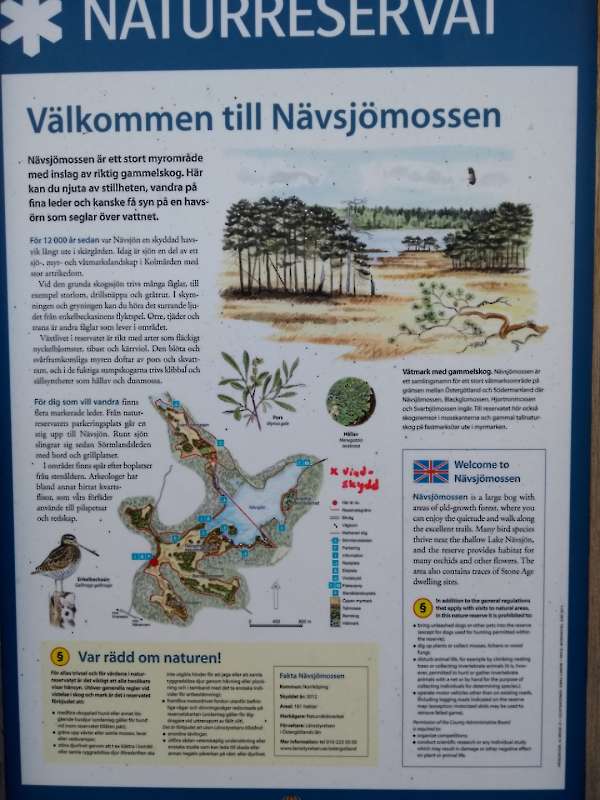 Nävsjömossen