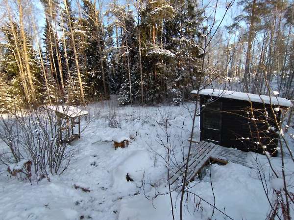 Photo hide by winter